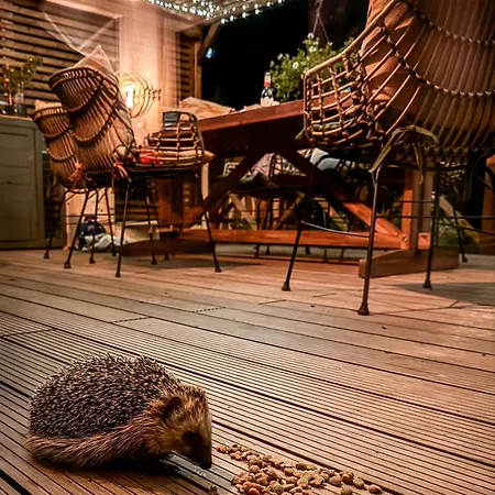 Stall & Glut - Mit Sauna & Kaminofen Дом отдыха *