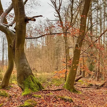 Stall & Glut - Mit Sauna & Kaminofen * Бад-Цвишенан