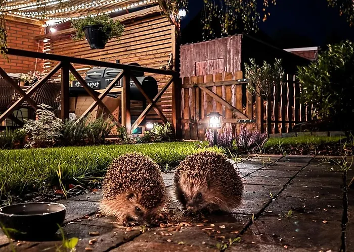 Stall & Glut - Mit Sauna & Kaminofen