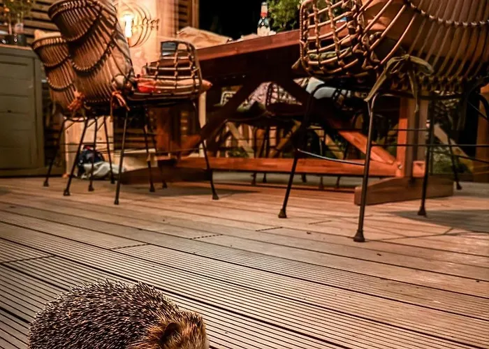 Stall & Glut - Mit Sauna & Kaminofen Дом отдыха *