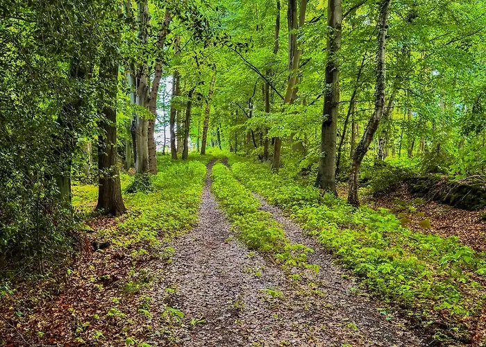 Stall & Glut - Mit Sauna & Kaminofen