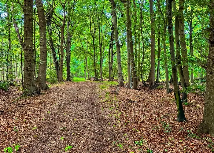 Stall & Glut - Mit Sauna & Kaminofen